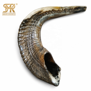 Shofar artisanal en corne de bélier, instrument religieux et cérémoniel juif en corne naturelle pour la prière et la tradition des fêtes de Rosh Hashanah et de Yom Kippur - Product Image 4