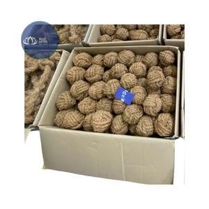 Jouet à mâcher pour chiot en corde bio Blue Lotus Lucy, best-seller, fibres naturelles, nœuds pour la dentition, vente en gros - Product Image 3