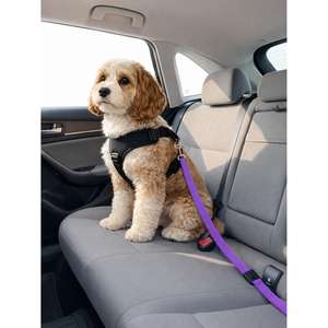 Guinzaglio Riflettente per Animali Domestici Yommy 2.5110 cm con Adattatore per Cintura, Guinzagli Premium per Maggiore Visibilità e Comfort - Product Image 5