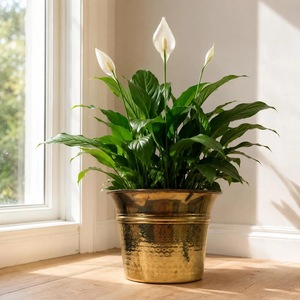 Durable Eco-Friendly Gold Metal Hammered Modern Customized Round Flower <b>Pot</b> Planter Vase Plant <b>Stand</b> for Indoor Home Decoration - Product Image 2