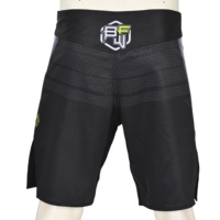 Blaze personnalisé hommes vêtements de combat Shorts Durable écologique MMA BJJ léger grappling No Gi formation maille Shorts personnalisable