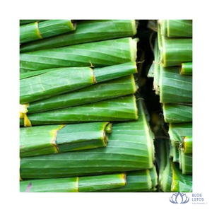 [VENTE CHAUDE] |   Feuilles de bananier surgelées IQF, qualité supérieure, emballées sous vide, pour l'emballage alimentaire et la cuisson, provenant de la ferme Blue Lotus - Product Image 5