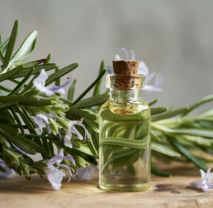 Pure Rosemary Essential <b>Oil</b> <b>for</b> Hair Care Aromatherapy <b>Diffuser</b> <b>Oil</b> <b>for</b> Relaxation Massage & Cosmetics Wholesale Export Quality - Product Image 1