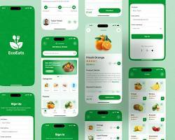 Aplicación móvil para entrega de comestibles: Haga pedidos de comestibles en línea con entrega rápida, seguimiento en vivo, pagos seguros y fácil recarga de pedidos. - Product Image 4