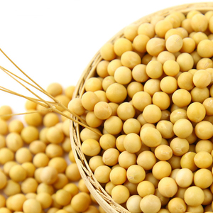 Soja biologique séché de qualité supérieure, approvisionnement en vrac de 25 kg pour la distribution agricole internationale - Product Image 2