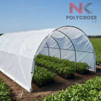 Bâche de serre transparente/translucide pour une luminosité maximale, bâche de couverture de serre de qualité supérieure et favorisant la croissance des plantes