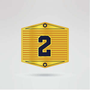 <b>Gold</b> Championship <b>Belt</b> with Custom Text & Logo Design Leather Material Four Side Plates-Martial Arts Title <b>Belt</b> - Product Image 4