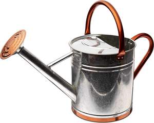 Arrosoir en métal galvanisé pour plantes d'intérieur et d'extérieur, arrosoir de jardin rustique avec long bec, arrosoir décoratif pour fleurs - Product Image 2
