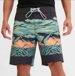 Shorts de Surf Elásticos en 4 Direcciones para Hombre, Shorts de Playa, Natación, Surf, 2023, Shorts Básicos de Fitness con Malla, Shorts con Logotipo Personalizado - Product Image 5