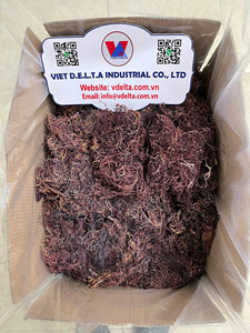 Musgo marino seco 100% natural premium (musgo marino irlandés) – Algas marinas secas al sol de grado alimenticio de Vietnam - Product Image 1