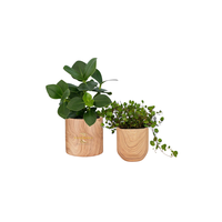 Pot de plante en bois aux lignes épurées et finition naturelle, idéal pour les intérieurs minimalistes, rustiques et Japandi