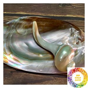 Mother of Pearl Shell <b>Chopstick</b> <b>Holder</b> 10-11cm Natural Iridescent Seashell Rest for Sushi Restaurant and Asian Dining - Product Image 5