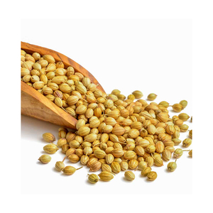 Graines de coriandre entières de haute qualité, épice aromatique naturelle pour l'assaisonnement, fournisseur en gros pour l'industrie alimentaire, exportation - Product Image 5