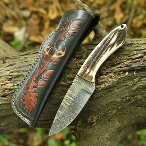 Couteau de chasse Bowie de haute qualité en acier inoxydable Stigma, manche en bois, étui en cuir, lame à pointe fixe, couteau d'extérieur - Product Image 2