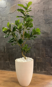 Grande feuille artificielle d'intérieur pour violon figuier yucca écologique Horti Club en plastique décor d'anniversaire de mariage salon bureau - Product Image 2