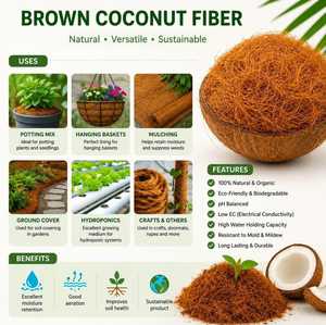 Bloque de Fibra de Coco Greenglobe para Cultivo de Plantas, Ladrillo Biodegradable Ligero de 650g, Alta Retención de Agua, Ecológico, Tamil - Product Image 4