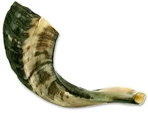 Shofar artisanal en corne de bélier, écoresponsable, en matériaux biologiques, technique personnalisée, poli, artisanat naturel, Uttar Pradesh Faizacraft pour - Product Image 6