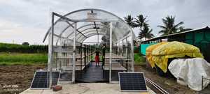 Secador Solar de Alta Eficiencia para Invernadero, Modelo C500, Forma de Túnel, Convección Forzada, Cubierta de Policarbonato Estabilizado contra Rayos UV, Estructura de Acero Inoxidable - Product Image 1