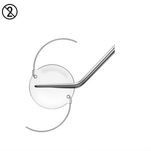 Pinzas de sujeción para IOL Livernois, anguladas, desechables de un solo uso, para cirugía oftálmica, lente intraocular, acero inoxidable NAZIR HABIB - Product Image 2