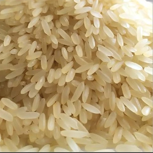 ข้าวบาสมาติอินเดีย 1509 แบบเมล็ดยาวพิเศษ คุณภาพพรีเมียม ขายส่งสำหรับส่งออก - Product Image 3