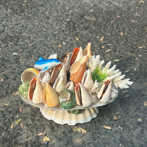 เปลือกหอยธรรมชาติขัดเงาจากเวียดนาม สำหรับสูตรอาหารสร้างสรรค์และเพิ่มสีสันแบบชนบท โดย 99 โกลด์ ดาต้า โค - Product Image 5