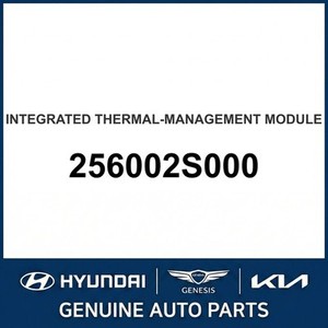 Nouveaux thermostats et boîtiers Grandeur/Azera 256002S000 - Product Image 1