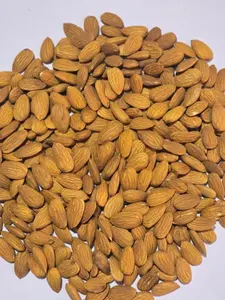 Amandes entières séchées/blanchies à la peau brune, qualité A++, 0% brisées, <6% d'humidité, prêtes à l'emploi, durée de conservation de 24 mois, Ojishths Industries - Product Image 6