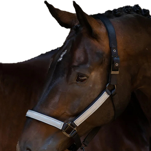 Sunrise Equine Industries - Halteurs pour chevaux en nylon réglables, style corde violette, équipement équestre - Vente en gros d'halteurs pour chevaux - Product Image 3