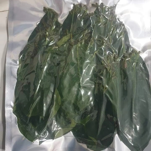 MEILLEUR PRIX D'USINE VIETNAM FEUILLES DE GRAVIOLA SÉCHÉES DE HAUTE QUALITÉ ET MEILLEUR PRIX POUR LA VENTE EN GROS - Product Image 1