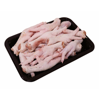 Pieds et pattes de poulet congelés de qualité supérieure, vente en gros, approvisionnement en vrac, prêts à être expédiés pour les importateurs internationaux