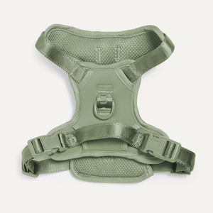 Ensemble Harnais et Laisse pour Chien, Harnais Réglable Anti-Traction et Anti-Étranglement pour Chiots, Idéal pour la Promenade des Animaux de Compagnie de Petite, Moyenne et Grande Taille - Product Image 3