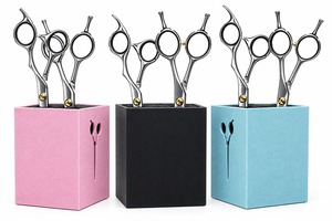 Juego de Herramientas para el Cuidado del Cabello, Kit de Tijeras y Peine, Accesorios de Peluquería Metálicos, Exhibición para Mostrador - Product Image 2