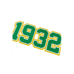 Parches con Logotipo Bordado en Chenilla de la Universidad Chi Eta Phi Sorority Inc - Product Image 1