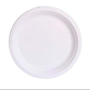 Assiette jetable en bagasse de 12 pouces de qualité supérieure, compostable, pour traiteur, fêtes et street food, à prix de gros - Product Image 3