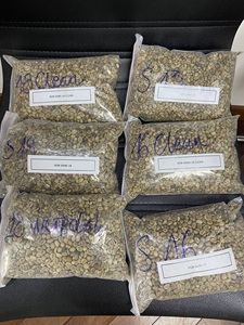 Café Vert Robusta PHALCO de Haute Qualité Grade 1 Tamis 16/18 Vietnam Meilleur Prix Prêt à l'Exportation en Sac de Jute - Product Image 3