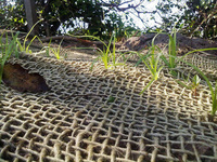Rouleau de filet en tissu maillé de jute de haute qualité, orienté vers l'exportation, pour la protection des sols et le contrôle de l'érosion, 100% naturel, biodégradable et écologique