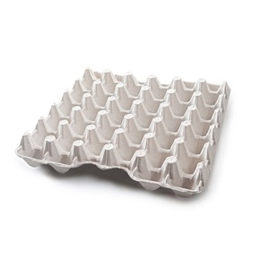 Sustainable Recycled Paper <b>Pulp</b> Durable Egg Packaging Trays for Farm Fresh Eggs 30 Cell Biodegradable Cartons Home and Hotel Use - Product Image 1