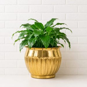 Pot de fleurs en métal doré pour plantes d'intérieur, finition décorative, pot à fleurs avec design côtelé pour la décoration de la maison, salon, bureau - Product Image 4