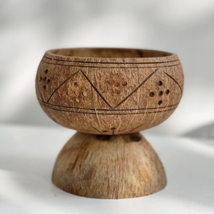 Coconut shell <b>pot</b> for bonsai <b>succulent</b> great quality sustainable planters wholesale flower <b>pots</b> - Product Image 5