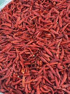 Chiles Rojos Secos Picantes Naturales de Vietnam, sin Tallo, Calidad Premium, a Granel, Calidad de Exportación - Product Image 5