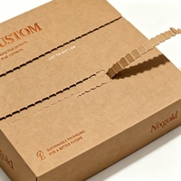 Boîtes personnalisées en papier kraft recyclé en forme d'avion avec bande de déchirement et fermeture éclair, écologiques, faciles à ouvrir, pour envoi postal, avec logo imprimé sur mesure