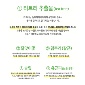 EVE.DR Jette 200ml Limpiador facial de pH bajo EWG All Green Tea Tree & Herbal Complex Gel Foam - Product Image 5