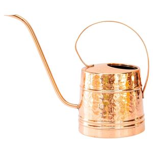 Canne de jardin en métal épais pour un soutien solide des plantes hautes dans les espaces extérieurs - Product Image 5