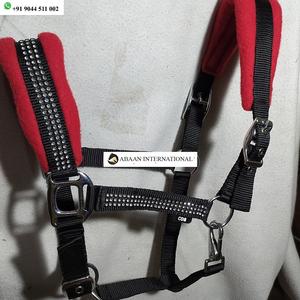 Cabestro Acolchado para Caballo con Cinta Decorativa y Correa a Juego, Suave, Cómodo y Ajustable - Product Image 3