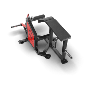 QLI QPLC078 Prone Leg Curl Dual Function Gym Fitness Equipment Entrenamiento de fuerza Prensa de piernas de Vietnam Hecho de metal - Product Image 5