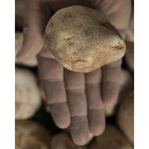 Galets rouges de Verona 40-60mm - Sacs de 1000kg - Product Image 1