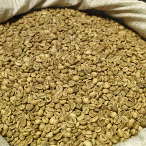 Premium Green Beans Arábica Coffee Wet Washed Wet Pulido Origen vietnamita Pedido pequeño aceptado + 84 969615235 - Product Image 5