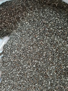 Graines de chia et graines de basilic de haute qualité pour la fabrication de boissons, l'industrie alimentaire et la distribution à l'exportation - Product Image 6