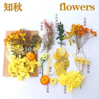 Resin Daun Bunga Kering Asli Campuran DIY Perhiasan Pernikahan Lilin Sabun Pembuatan Vas Seni Kuku Kartu Scrapbook Kerajinan Dekorasi Bunga