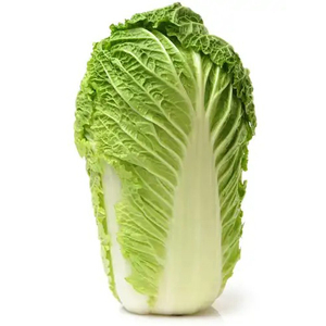 Compre apio y repollo frescos de nueva cosecha 100% de alta calidad a precio económico - Product Image 5